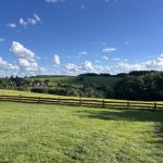 Alpaka Cottage Ferienhaus Ausblick