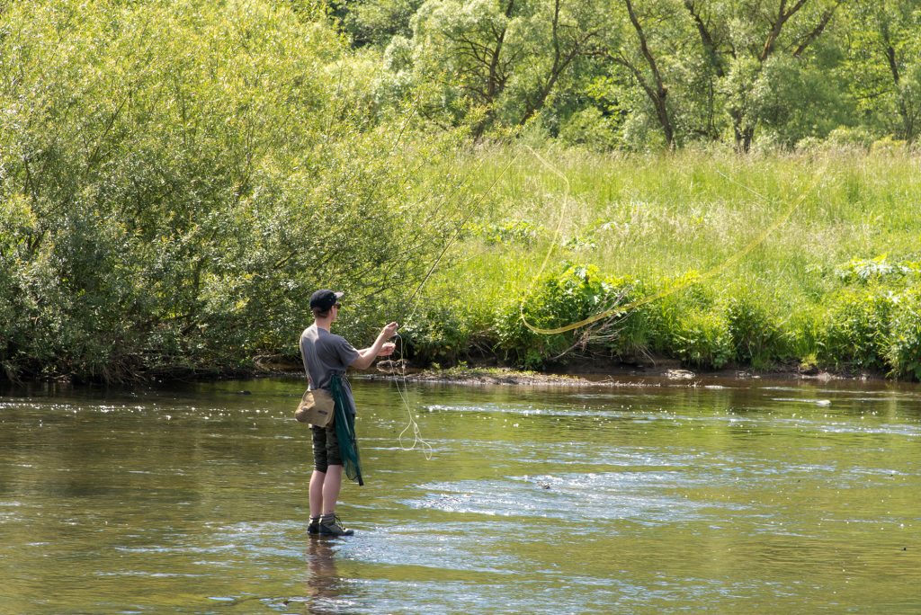 Angeln an der Sieg - Windecker Ländchen - Tourismus Verein - Windecker